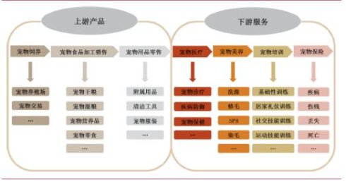 普愛醫(yī)療寵物DR